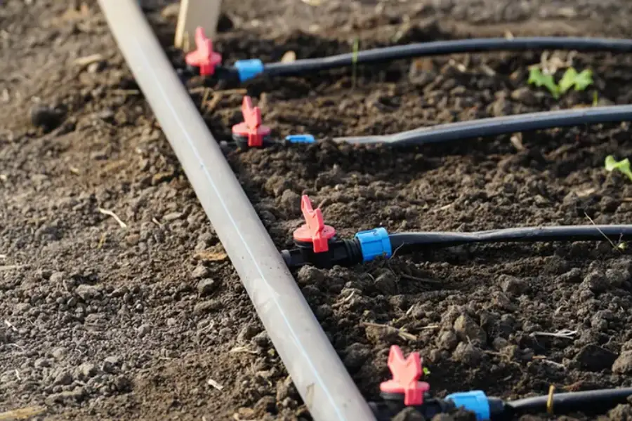Local Sprinkler Valve Replacement Selma, CA Local Sprinkler Valve Replacement Selma, CA