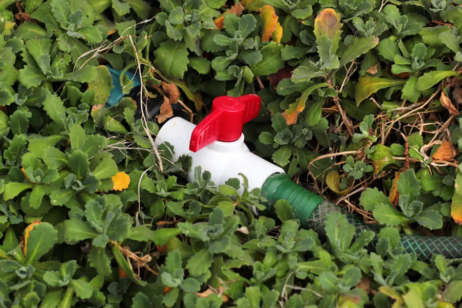 Tips For Choosing The Right Sprinkler Head For Your Garden Selma, CA Tips For Choosing The Right Sprinkler Head For Your Garden Selma, CA